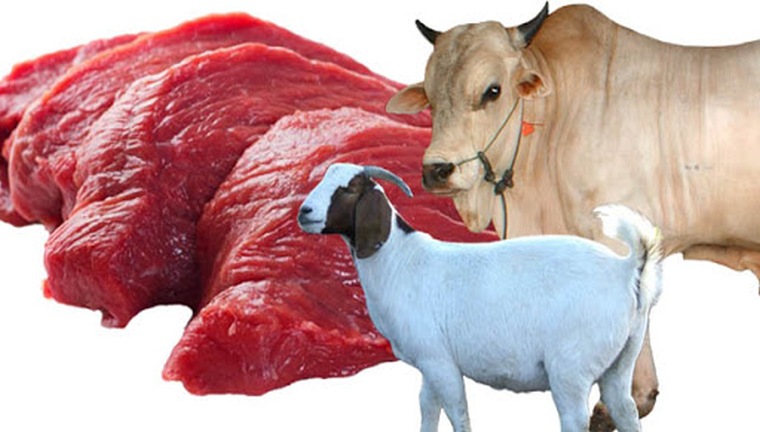 daging sapi dan kambing